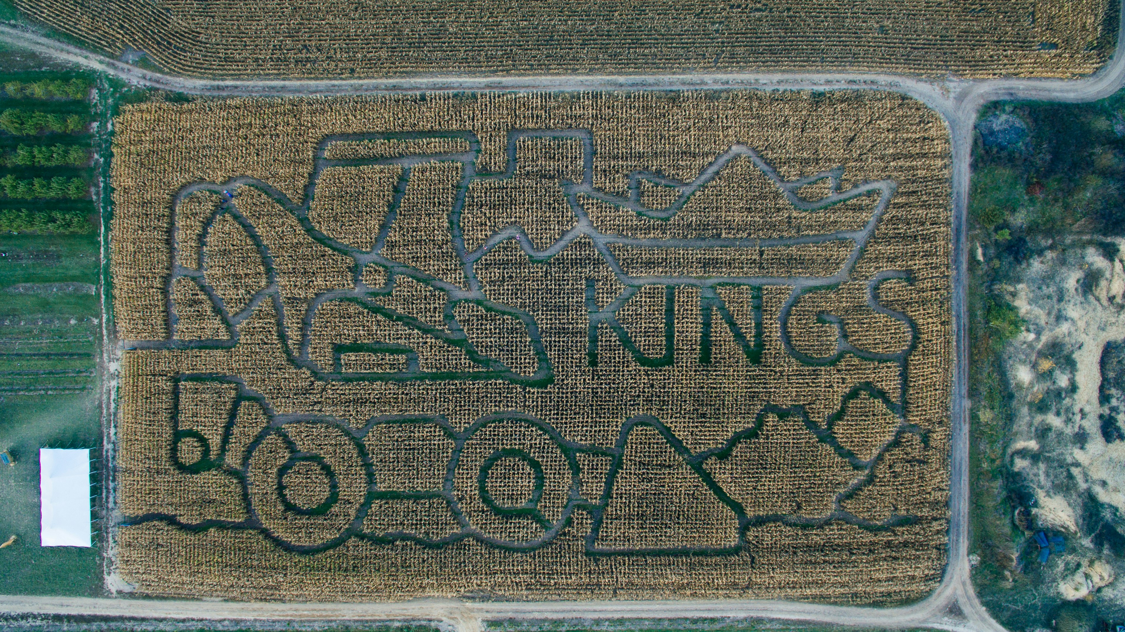 A beautiful corn maze trail