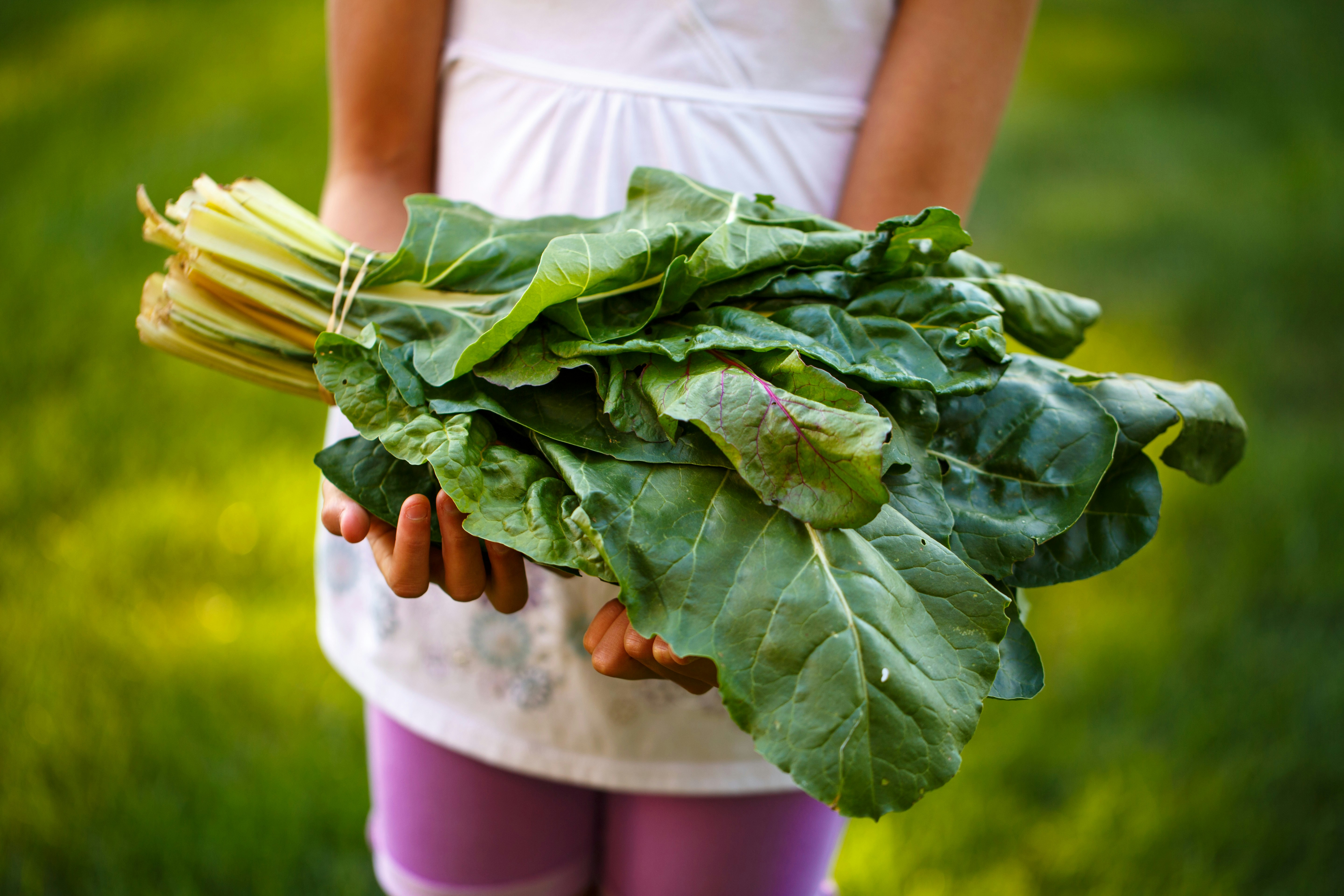 Farm Vegetables