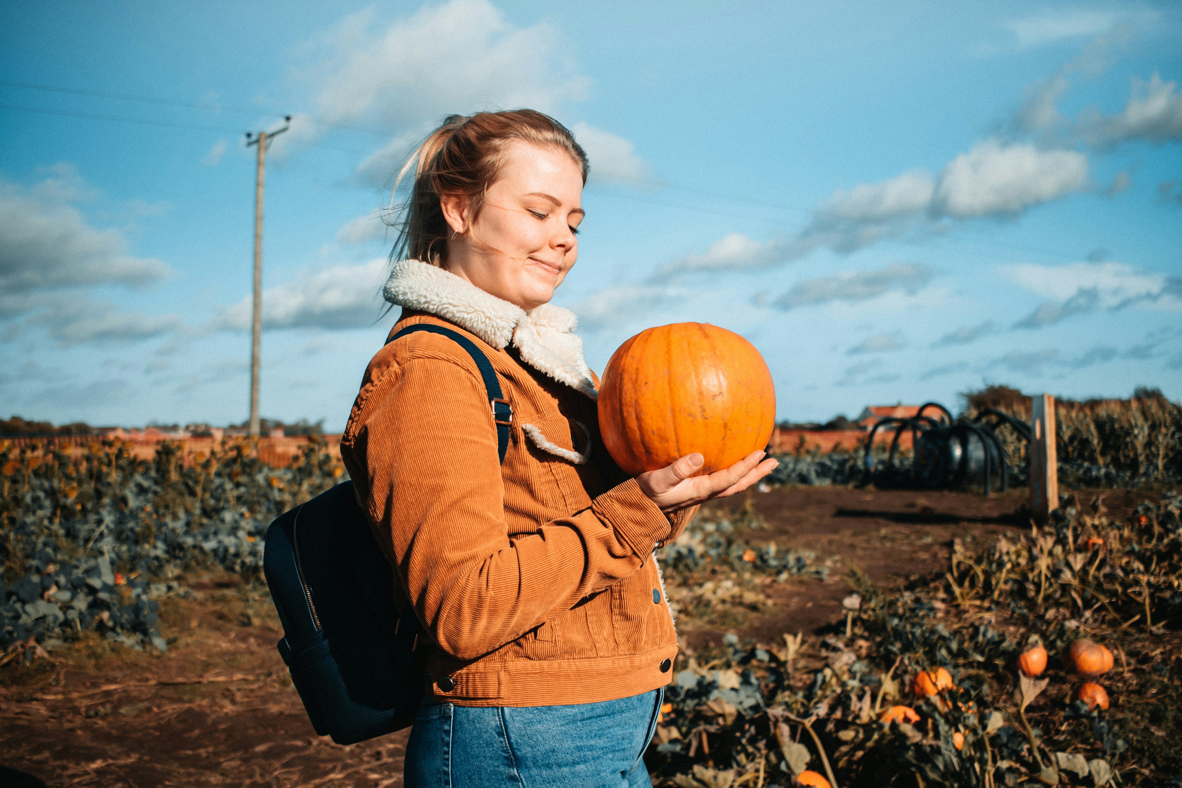 A bright orange pumpkin